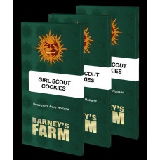 Семена конопли Girl Scout Cookies Феминизированные Barney's farm