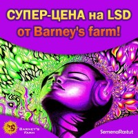 Супер-цена на LSD